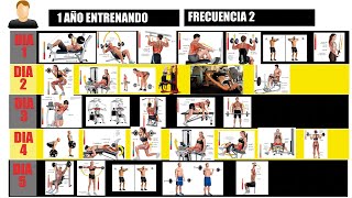 ¿Cómo diseñar un MESOCICLO de Entrenamiento para GANAR masa MUSCULAR [upl. by Brill]