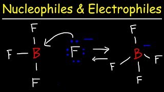 Nucleophiles and Electrophiles [upl. by Ardnala67]