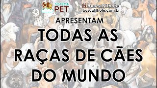 Todas as Raças de Cães do Mundo [upl. by Elleivad]