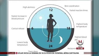 ¿Qué es el reloj biológico [upl. by Valdes564]