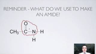 11 Ester and Amide Hydrolysis [upl. by Aicercul]