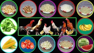 What to Feed Chickens  What do Chickens Eat [upl. by Gruchot522]