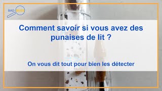 Tuto  Comment savoir si vous avez des punaises de lit [upl. by Engracia]