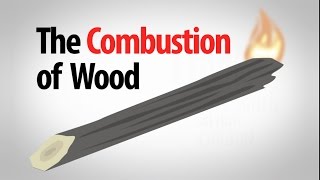 Science Spotlight The Combustion of Wood [upl. by Gradeigh]