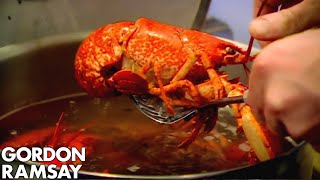 Cooking Lobster with Jeremy Clarkson  Gordon Ramsay [upl. by Lurlene732]