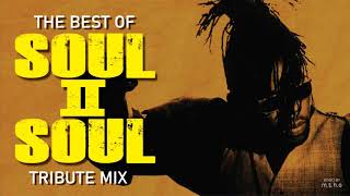 Soul II Soul Tribute Mix [upl. by Rramahs469]