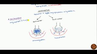 Drowning Pathophysiology and Management for USMLE [upl. by Gernhard]