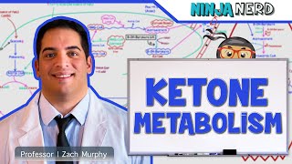 Metabolism  Ketone Metabolism [upl. by Ailegnave]