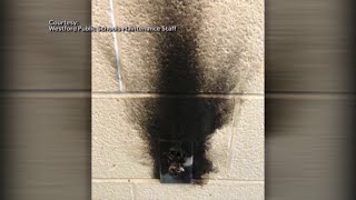 Student facing charges after viral challenge sparks fire at school [upl. by Armahs]