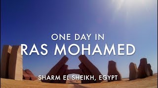 One Day In Ras Mohamed  South Sinai Egypt [upl. by Allayne]