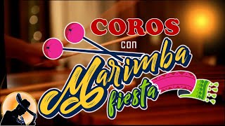 COROS CON MARIMBA  MUSICA CRISTIANA ALEGRE VOL 1 [upl. by Novoj265]