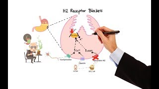 Pharmacology  ANTIHISTAMINES MADE EASY [upl. by Sikes]