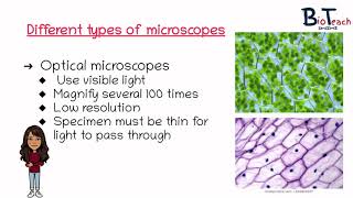 Microscopes  Light and Electron microscopes A level Biology  BioTeach [upl. by Lebisor]