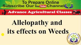 Alopathic Efect on Weeds [upl. by Odilo]