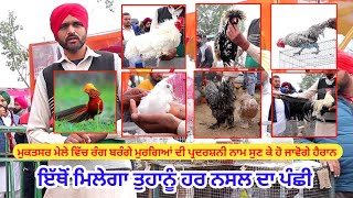 ਮੁਕਤਸਰ ਵਿੱਚ ਰੰਗ ਬਰੰਗੇ ਪੰਛੀ  Fancy Birds  mukatsar maghi Mela ILTILANATV [upl. by Maegan]