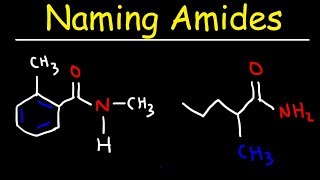 Naming Amides  IUPAC Nomenclature [upl. by Ecinna]