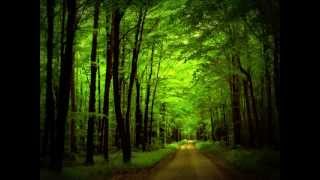 Aron Wright  In the Woods «Кухня» OST [upl. by Katheryn]