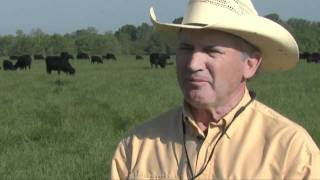 Growing Ryegrass for Forage [upl. by Darn430]