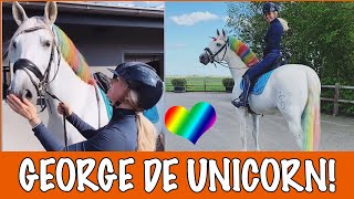 GEORGE OMTOVEREN TOT UNICORN 🦄  PaardenpraatTV [upl. by Ahsenahs]