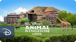 Disney’s Animal Kingdom Lodge  Walt Disney World [upl. by Jarv942]