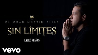 El Gran Martín Elías  Labios Negros Cover Audio [upl. by Alenas]