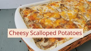 Simple Cheesy Scalloped Potatoes Recipe Gluten Free [upl. by Akahc]