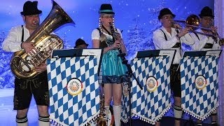 Bavarian quotoompahquot Band [upl. by Aser]