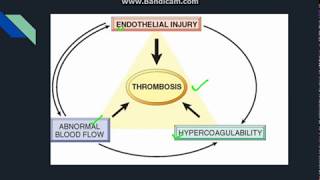 Thrombosis [upl. by Atika441]