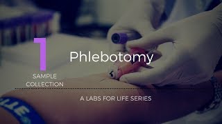 Phlebotomy [upl. by Danella]