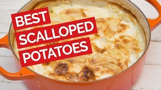 Best Scalloped Red Potatoes Recipe [upl. by Nitza913]