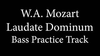 Bass Demo  Laudate Dominum  Mozart [upl. by Bledsoe]