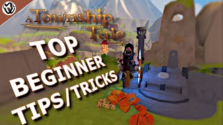 How to fully wipe or reset your server  A Township Tale VR [upl. by Ferwerda]