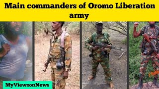 Oromia Ethiopia Main commanders of Oromo Liberation Army [upl. by Crandall747]