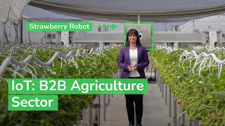 IoT Powering the Digital Economy  The B2B Agriculture Sector  Schneider Electric [upl. by Brynna]