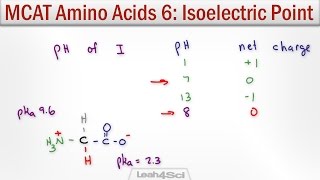 Isoelectric Point of Amino Acids with MCAT Shortcut [upl. by Yuk891]