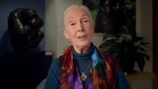 Make a Difference with the Jane Goodall Institute [upl. by Alrrats834]