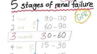 Mnemonic the 5 Stages of chronic kidney disease based on GFR [upl. by Denton248]