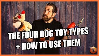 How to Use the 4 Types of Dog Toys RIGHT [upl. by Annahoj721]