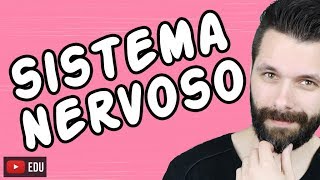 SISTEMA NERVOSO  FISIOLOGIA  Aula  Biologia com Samuel Cunha [upl. by Kerred62]