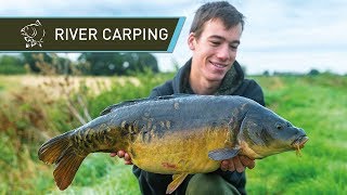 River Carp Fishing for BEAUTIFUL Carp [upl. by Ameg]