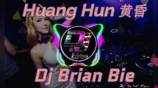 Huang Hun 黄昏 Remix By Dj Brian Bie [upl. by Lucille664]