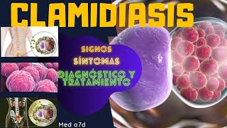 Clamidiasis Signos y Síntomas Diagnóstico Tratamiento ETS [upl. by Cavil]