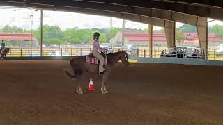 2022 Horsemanship at 4h State Horse Show [upl. by Olimpia]