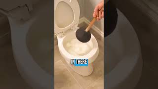 How to Unclog a Toilet [upl. by Eido876]