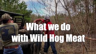 What we do with Wild Hog Meat [upl. by Iveksarap]