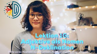 B1Lek1G Adjektive als Nomen und Nomen der NDeklination [upl. by Ahsenak]