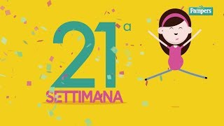 21° settimana di gravidanza [upl. by Sugihara]