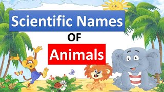 Scientific Names of Most Common Animals [upl. by Prosper947]