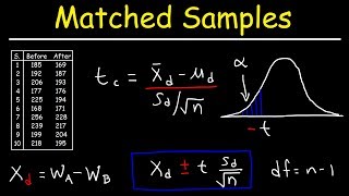 Matched or Paired Samples TTest  Hypothesis Testing [upl. by Plunkett]