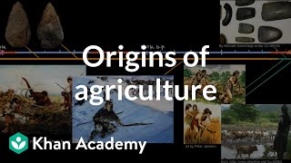 Origins of agriculture  World History  Khan Academy [upl. by Bauer]